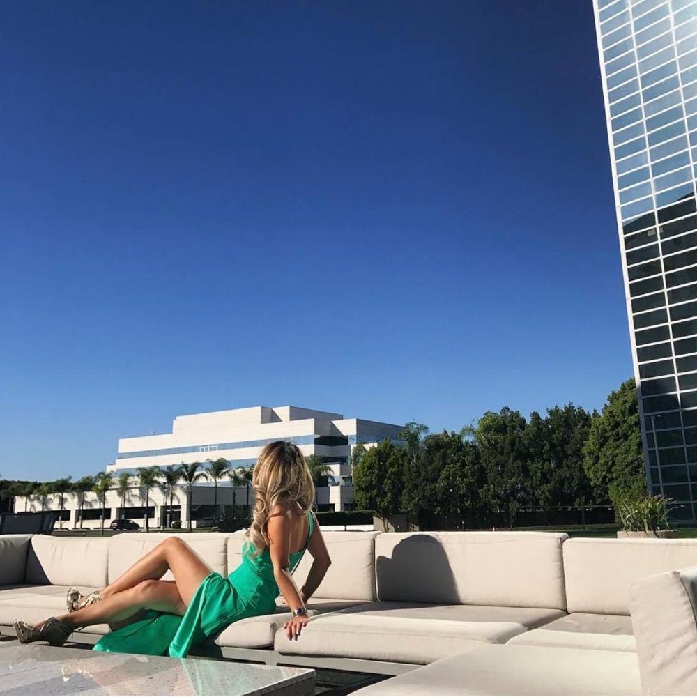 VLabel London dress 4